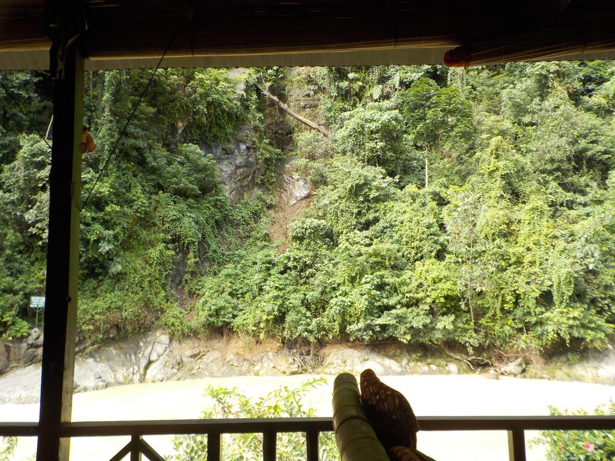 Jungle Tribe Guesthouseブラスタギ エクステリア 写真